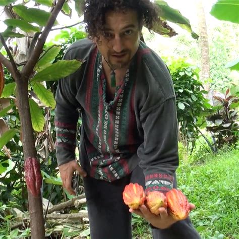 Making Chocolate At Home With David Avocado Wolfe Uexl Institute