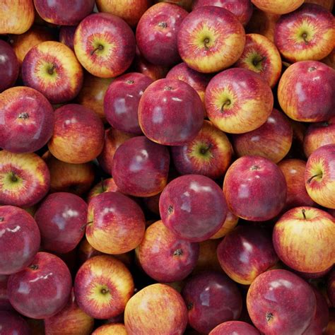 Apple fruit - BlenderBoom