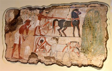 Surveying The Field For Nebamun This Scene From The Tomb Chapel Of