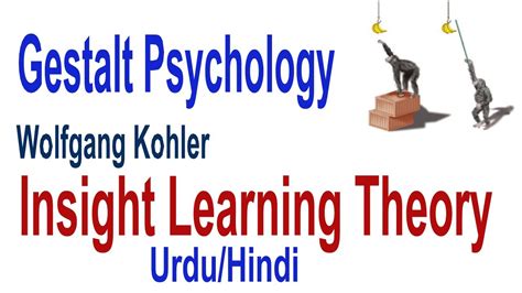 What Is Insight Learning Cognitive Learning Theory By Kohler Gestalt