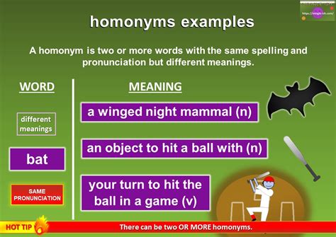 Homonyms Meaning And Examples Mingle Ish
