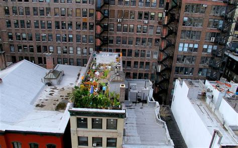 Reasons Why Nyc Rooftops Are The Best Thrillist