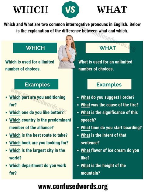 Which Vs What How To Use What Vs Which In English Confused Words