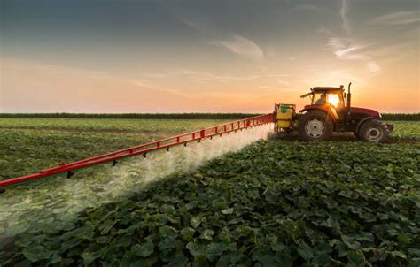 To explore sugar consumption trends in the us, researchers stephan guyenet and jeremy landen compiled data on caloric sweetener sales spanning 184 years. Agriculture Stock Photos, Pictures & Royalty-Free Images ...