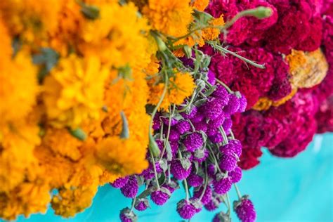 Details 100 Flores Moradas Para Altar De Muertos Abzlocalmx