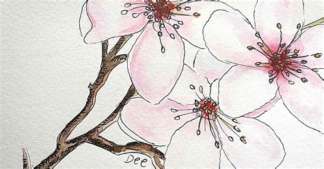 How To Paint A Gorgeous Cherry Blossom Watercolor Artsydee Drawing