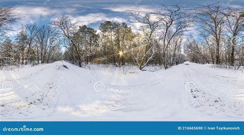 Winter Full Spherical Hdri Panorama 360 Degrees Angle View In Snowy
