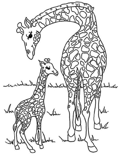 Zoo Animals Coloring Pages Free Printable Pdf