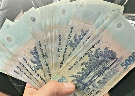 500000 Vietnamese Dong Polymer Banknote One Cir 500k Etsy