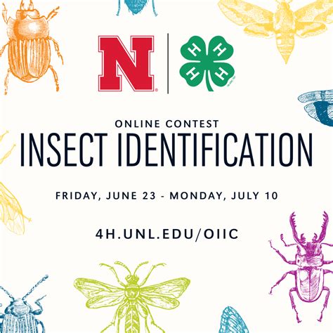 Online Insect Id Contest Ends July 10 Announce University Of