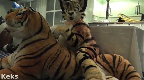 Cute Fursuiter With Inflatable Plush Tiger Youtube