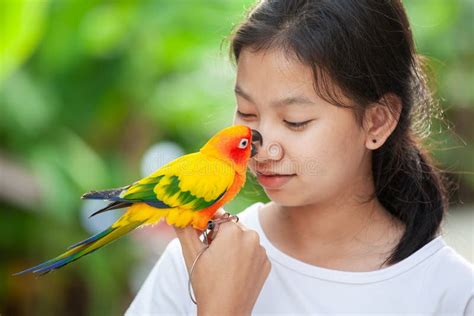 Beautiful Parrot Birds Standing On Woman Hand Asian Teenager Girl Play