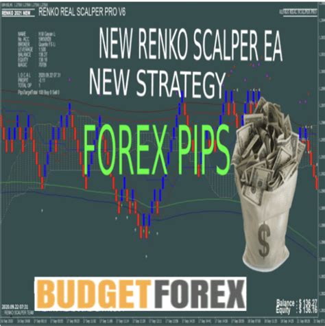 New Renko Scalper Pro V8 Budget Forex Shop