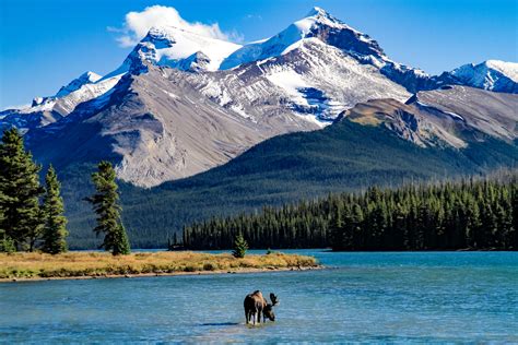 Explore Yukon And The Northwest Territories