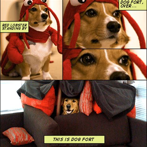 15 Funniest Dog Memes Ever Factory Memes