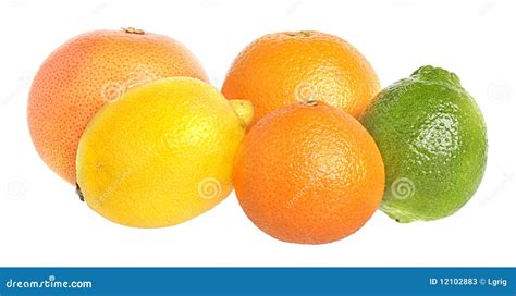 Set Of Citrus Fruit Stock Image Image Of Group Juicy 12102883