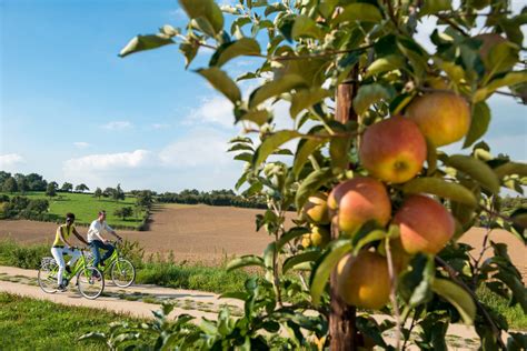 Er zijn meer routes beschikbaar die aan de zoekcriteria voldoen. Wandelen, fietsen of toeren in Haspengouw - Toerisme Sint ...