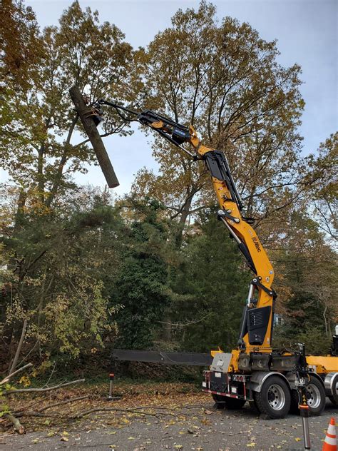 The new jersey pine barrens is the setting of aurelio voltaire's 2013 horror novel call of the jersey devil. Large Tree Removal Services | A&H Tree Service | Bergen ...