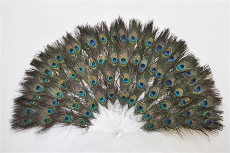15x25 Double Sizes Peacock Eyes Feathers Decorative By Lawrencelv 68