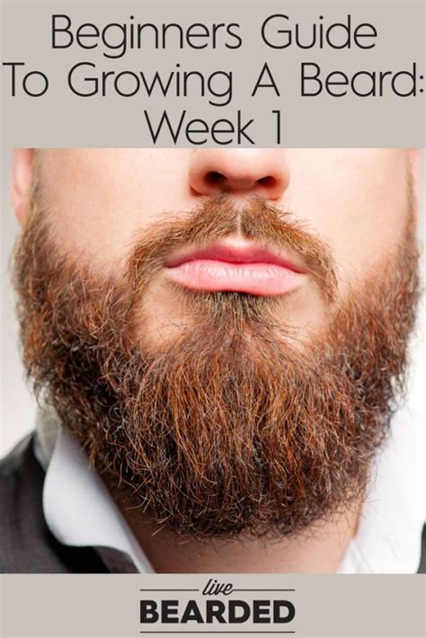 How Do Beards Grow Howdoza