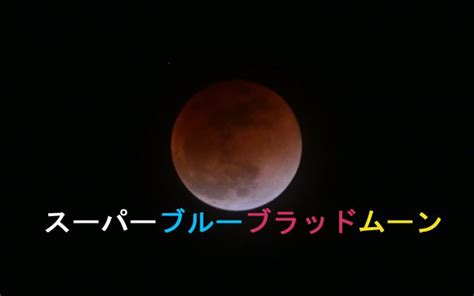●日食はどうしておこるの？ ○コラム 皆既日食と金環日食の違いは？ ●今回の日食について ○コラム 日食や月食の予測はいつごろから？ ●どこで、ど. あちあち情報局：日記帳 - 管理人の私生活、気になった事など