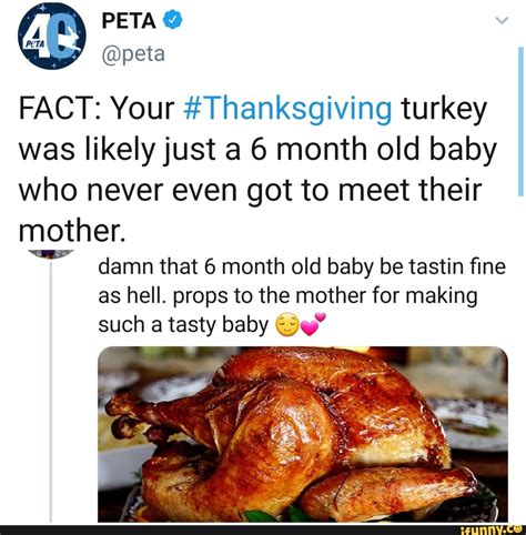 Peta Peta Fact Your Thanksgiving Turkey Was Likely Just A Month Old Baby Who Never Even Got