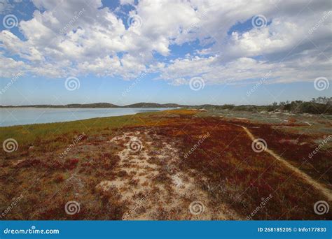 Path Along An Estuary Stock Image Image Of Scattered 268185205