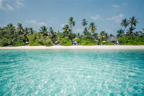 Maldives Paradise Beach Perfect Tropical Island Beautiful Palm Trees