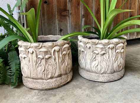 Vintage Concrete Planters For Aesthetic View At Home