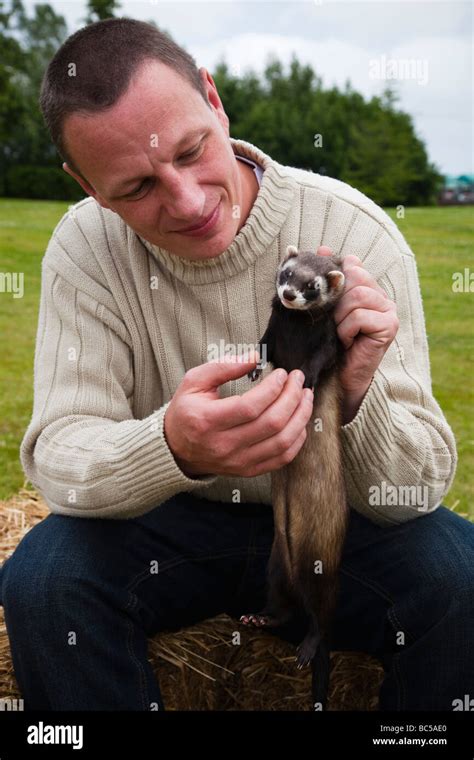 Holding Pet Ferret Hi Res Stock Photography And Images Alamy