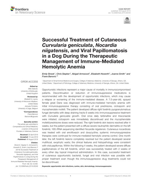 Pdf Successful Treatment Of Cutaneous Curvularia Geniculata Nocardia