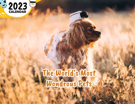 The Worlds Most Wondrous Pets 2023 Wall Calendar Published Praise
