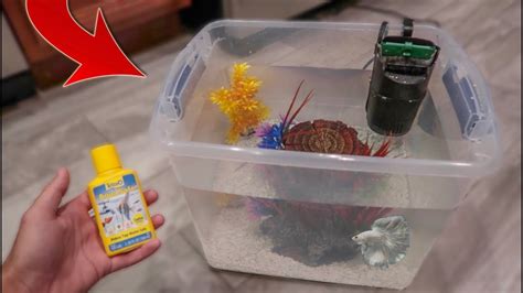 It's useful when you need to keep fish apart for safety, breeding, or other reasons. HOMEMADE BETTA FISH AQUARIUM!!! - YouTube