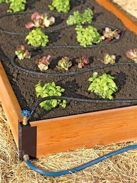 22 Diy Raised Bed Vegetable Garden Ideas Worth A Look Sharonsable