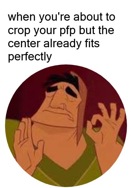 My pfp refers to a trend and social game on tiktok collected largely under the hashtag #mypfp by referencing the video and their current pfp, the viewer can tell which grade the tiktoker received. The best pfp memes :) Memedroid