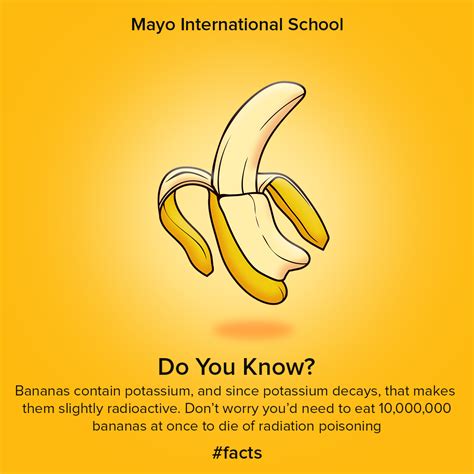 Its A Serious Fact School Knowledge Facts Fun Backtoschool