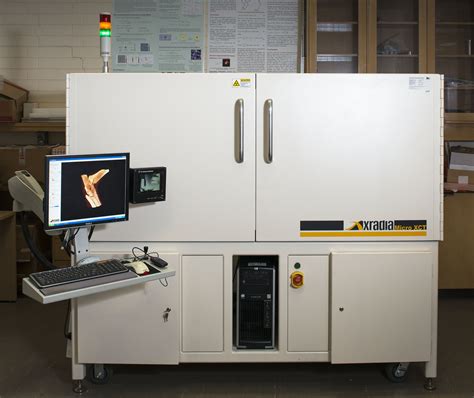 X Ray Micro Computed Tomography Xμct School Of Molecular Sciences
