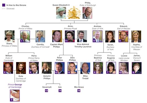 The family tree for queen elizabeth ii is still in the early stages of research. Family Tree - Homework