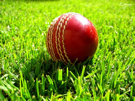 Fichier:Cricket ball on grass.jpg — Wikipédia