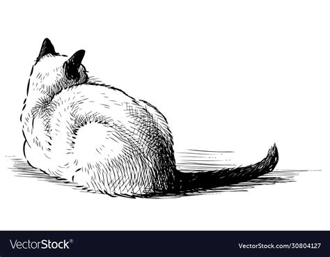 Sketch Lying Down Domestic Thai Cat Royalty Free Vector