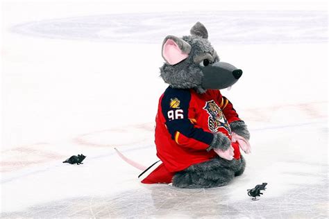 Victor E Rat Gathers Victory Rats On The Ice After The Florida