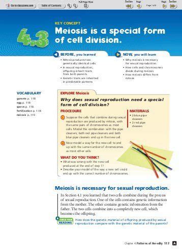 The sister chromatids are moving apart. Biology Section 11 4 Meiosis Worksheet Answer Key