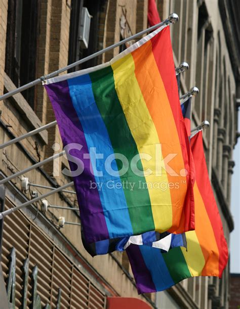 Gay Pride Vlaggen Stockfoto S Freeimages