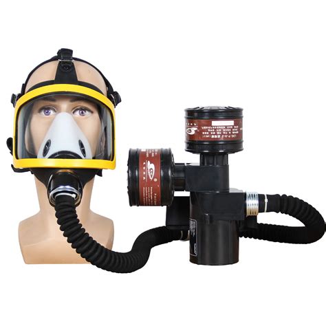 Buy Trudsafe Portable Electric PAPR Respirator System Air Respirator