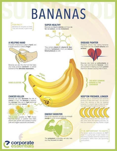 How Much Protein Does 1 Banana Have Banana Poster