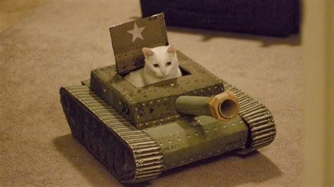 Caterville Tank Cats