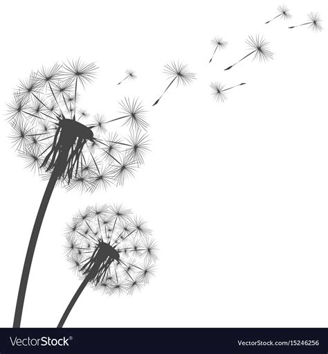 Available for download in png, svg and as a font. Silhouette of a dandelion Royalty Free Vector Image