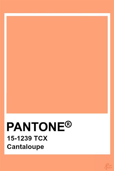 Pantone Cantaloupe Paleta De Color Pantone Paletas De Colores Gamas