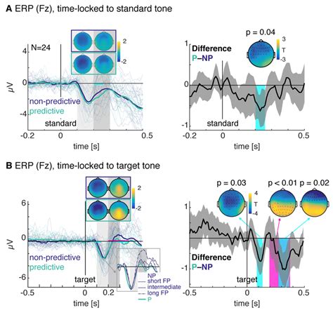 Event Related Potentials A Erps Time Locked To The Standard Tone