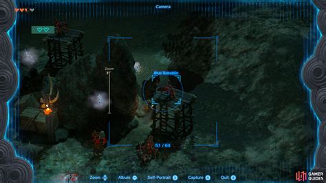 Ice Keese - The Legend of Zelda: Tears of the Kingdom Database | Gamer